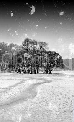 Vertical vintage black and white winter park composition backgro