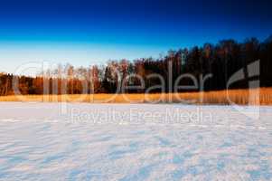 Winter crops horizon forest landscape composition