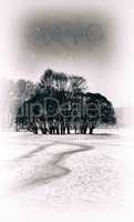 Vertical vintage sepia trees in winter park landscape postcard f