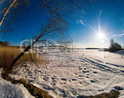 Horizontal vivid winter landscape with sun rays and footprints o