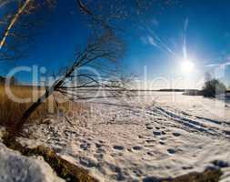 Horizontal vivid winter landscape with sun rays and footprints o