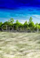 Vertical vivid fog in forest landscape background