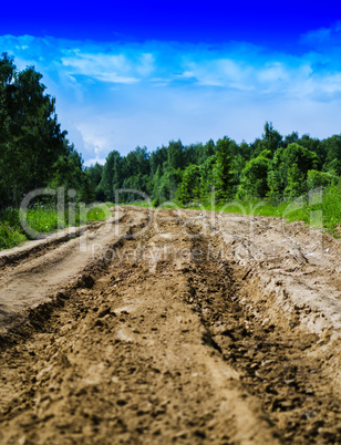 Vertical vivid Russian summer country road background backdrop