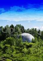 Vertical vivid extraterrestrial ufo sphere saucer in woods backg