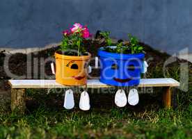 Horizontal flower pot on bench composition