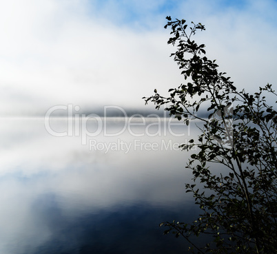 Horizontal dramatic Norway in fog right aligned bush background