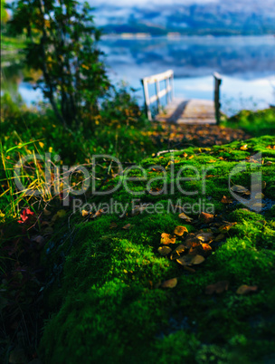 Scandinavian vertical landscape moss pier lake fjord