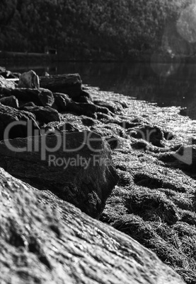 Vertical vivid sun light flare on rock stones background backdro