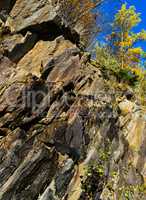 Vertical vivid Norway rock mountain texture composition with tre