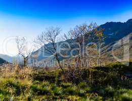 Horizontal vivid  Norway nature landscape tree mountain bokeh ba