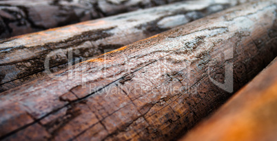 Horizontal vivid orange Norwegian wood macro closeup bokeh backg