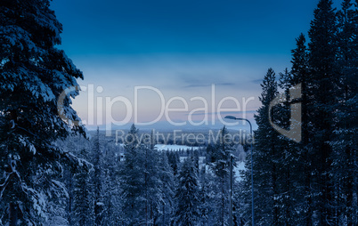 Morning sunrise at Finnish forest