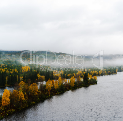 Square dramatic Norway fjord woods in fog landscape background b