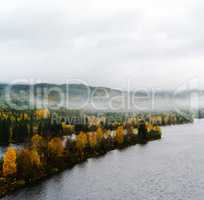 Square dramatic Norway fjord woods in fog landscape background b