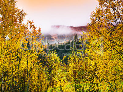 Horizontal vivid Norway autumn landscape background backdrop