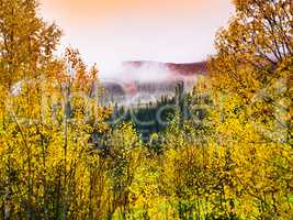 Horizontal vivid Norway autumn landscape background backdrop