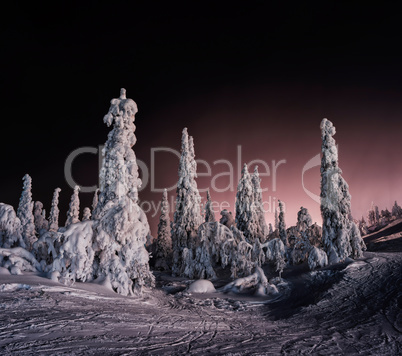 Horizontal vivid winter Finland landscape background backdrop