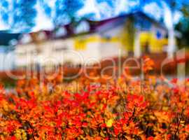 Horizontal vibrant autumn house blur abstraction background back