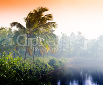 Horizontal vivid indian sunset palm on lake beach background bac