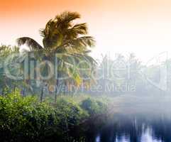 Horizontal vivid indian sunset palm on lake beach background bac