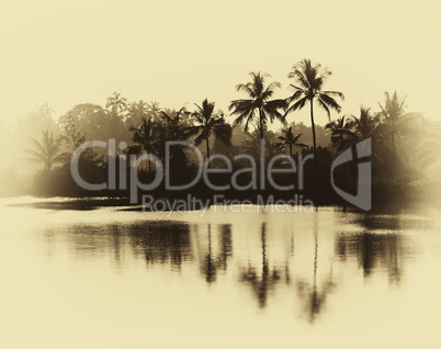 Horizontal vintage sepia palms reflections on lake background ba