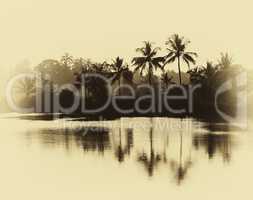 Horizontal vintage sepia palms reflections on lake background ba