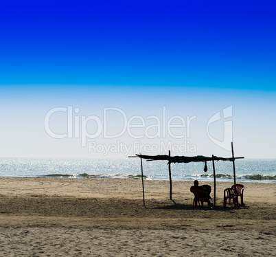 Horizontal vivid man meeting bright morning at sandy beach lands