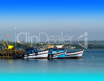 Horizontal vivid Indian ships and boats transportation backgroun