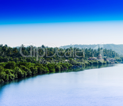 Horizontal Indian jungle beach landscape background backdrop