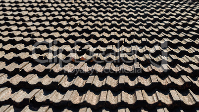 Vintage roof tiling background