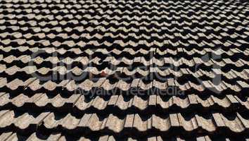 Vintage roof tiling background