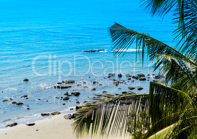 Horizontal vivid sand rock beach ocean palm composition backgrou