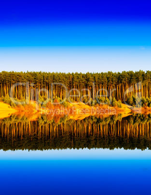 Vertical vibrant wood forest river reflections landscape backgro