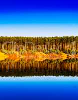 Vertical vibrant wood forest river reflections landscape backgro