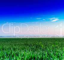 Horizontal vivid fresh green meadow with dramatic clouds backgro