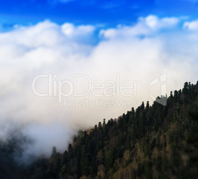 Square vivid mountain hill forest in fog cloudscape bokeh backgr