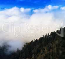 Square vivid mountain hill forest in fog cloudscape bokeh backgr