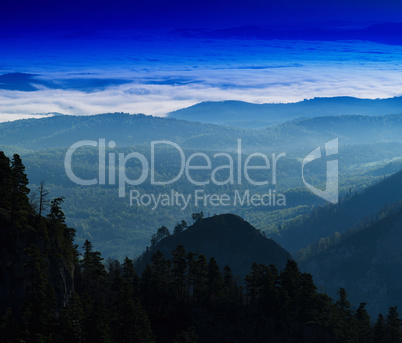 Horizontal vivid mountain forest landscape background backdrop