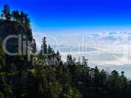 Horizontal vivid mountain forest slope landscape background back