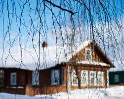 Russian house through tree branches backdrop