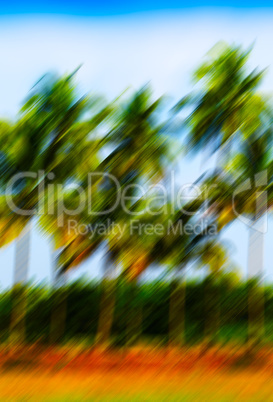 Vertical vivid motion blur palm trees abstraction background bac