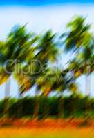 Vertical vivid motion blur palm trees abstraction background bac