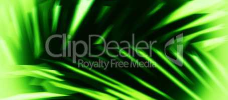 Horizontal acid green palm leaf abstract illustration background