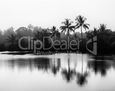 Horizontal black and white Indian landscape bokeh vignette backg