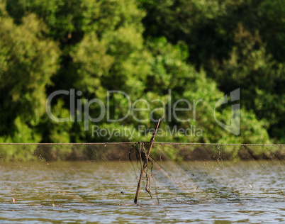 Horizontal vivid indian fishing net bokeh background backdrop