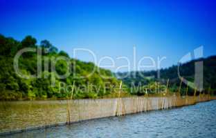 Horizontal vivid day fishing on indian river background backdrop
