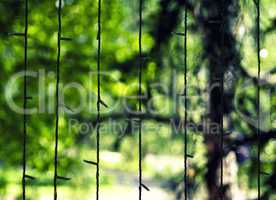 Vertical garland with green bokeh background backdrop