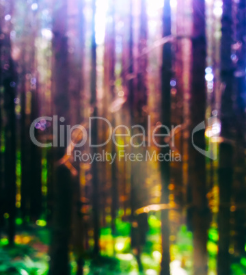 Vertical light leak in forest bokeh background