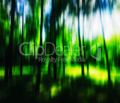 Green vertical forest blur abstraction