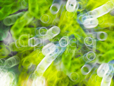 Horizontal green summer bokeh background